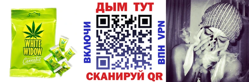 Купить где Зерноград Canna-Cookies конопля