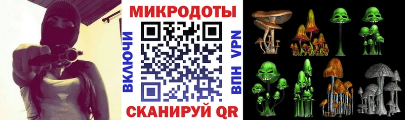 Купить где Зерноград Псилоцибиновые грибы Psilocybe